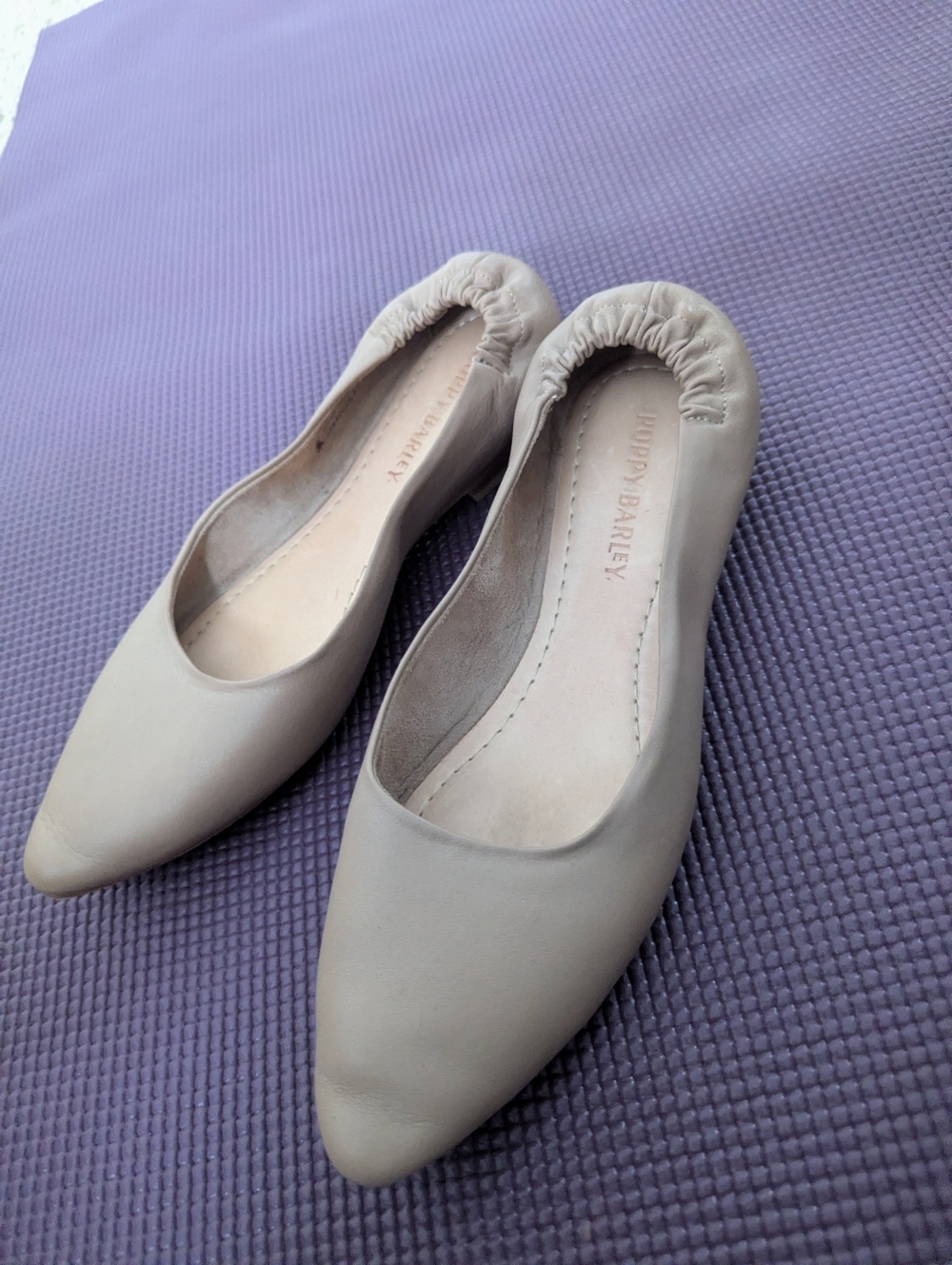 Poppy Barley Pointed Ballet Flats in Light Beige